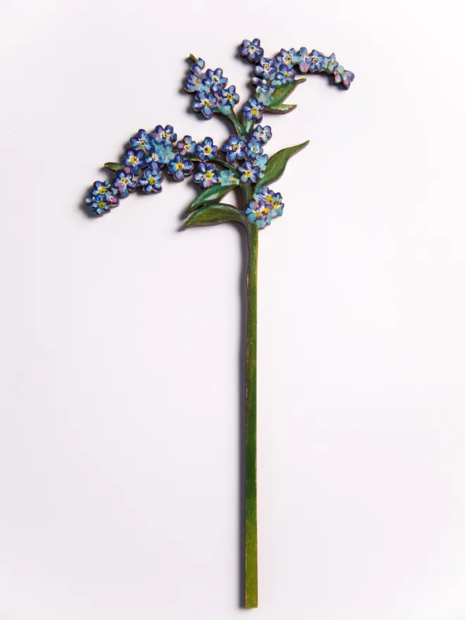 Forget-me-not wooden stem