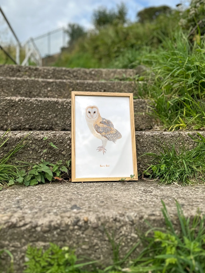 a print featuring an illustration of a barn owl