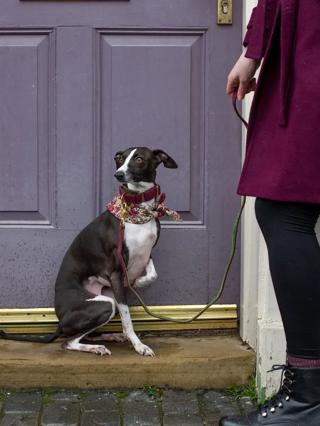 Pomegranate Carnaby Street Dog Bandana