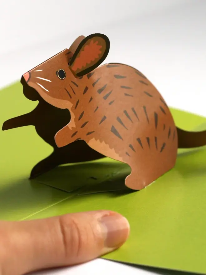 3d mouse pop up card