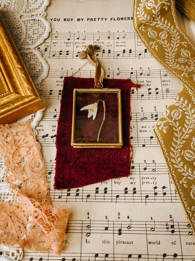 Pressed Snowdrop Framed Keepsake