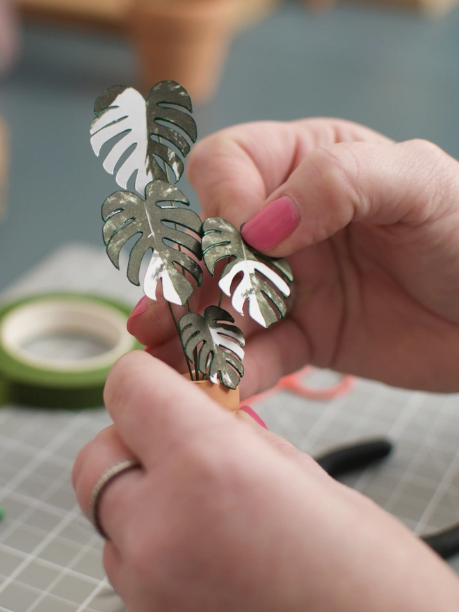 A miniature replica Variegated Monstera Deliciosa Albo paper plant being crafted. Being held between two hands adjusting the leaves with craft tools in the background