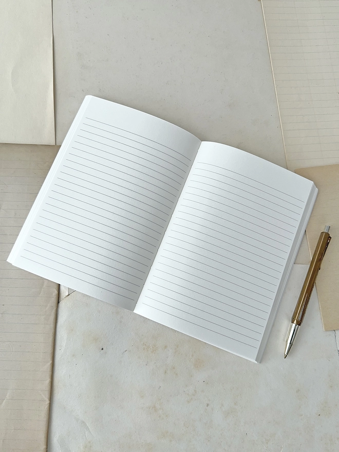 open pages of lined notebook