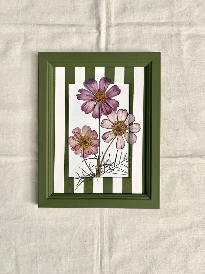 pressed cosmos flowers in hand painted green frame and painted stripe mount