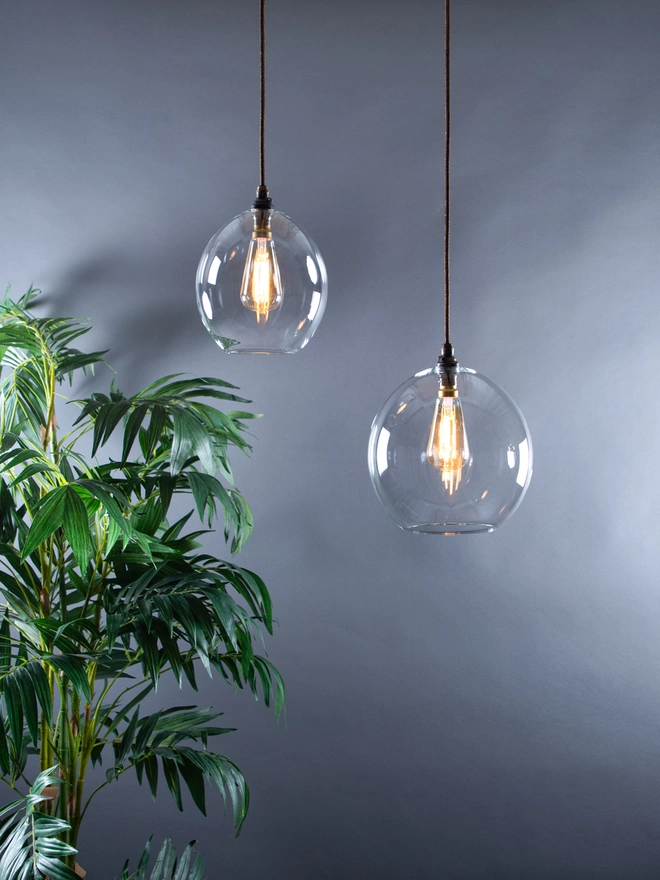 Clear Glass Globe Pendant Lights Called Wanda to help compare the sizes, hung in a lifestyle picture with a plant for scale. 