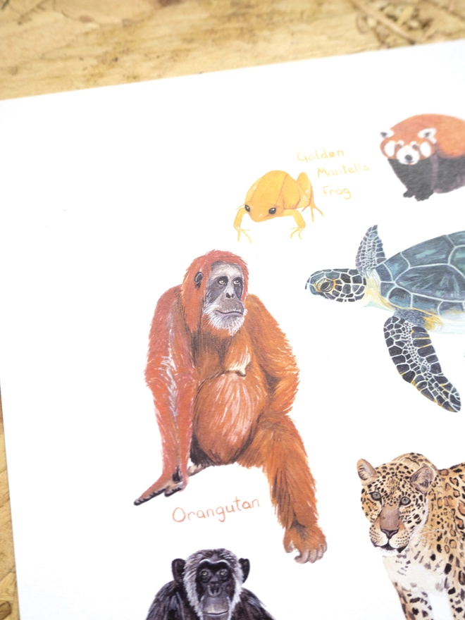 a close up of the print with a white background featuring a selection of colourful, endangered animals arranged in an oval shape