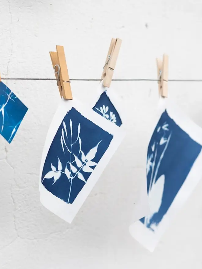 A5 Cyanotype Paper To Create Beautiful Prints With Sunlight