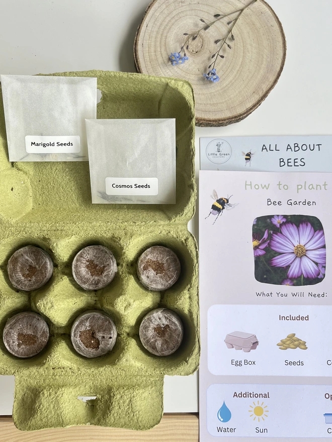 Layout of what's included in the Plant a Bee Garden Kit including instructions and materials