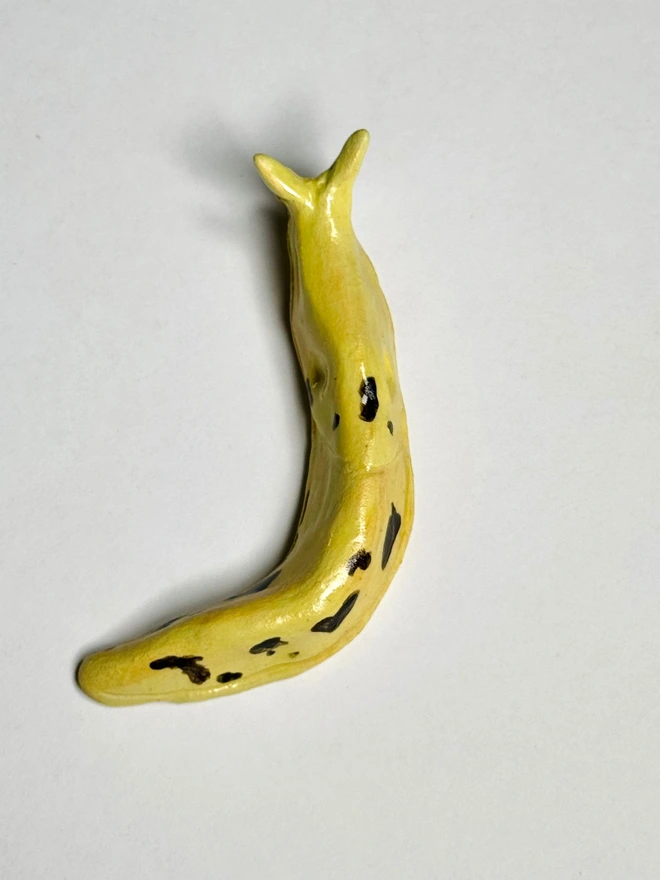 Banana Slug IIII