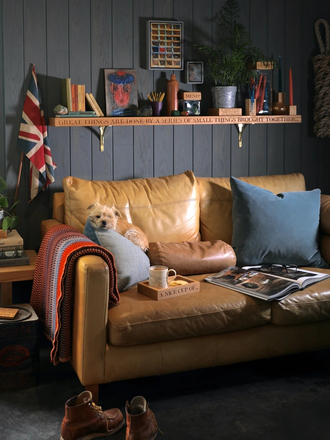 Beautiful shelf above sofa with dog on it