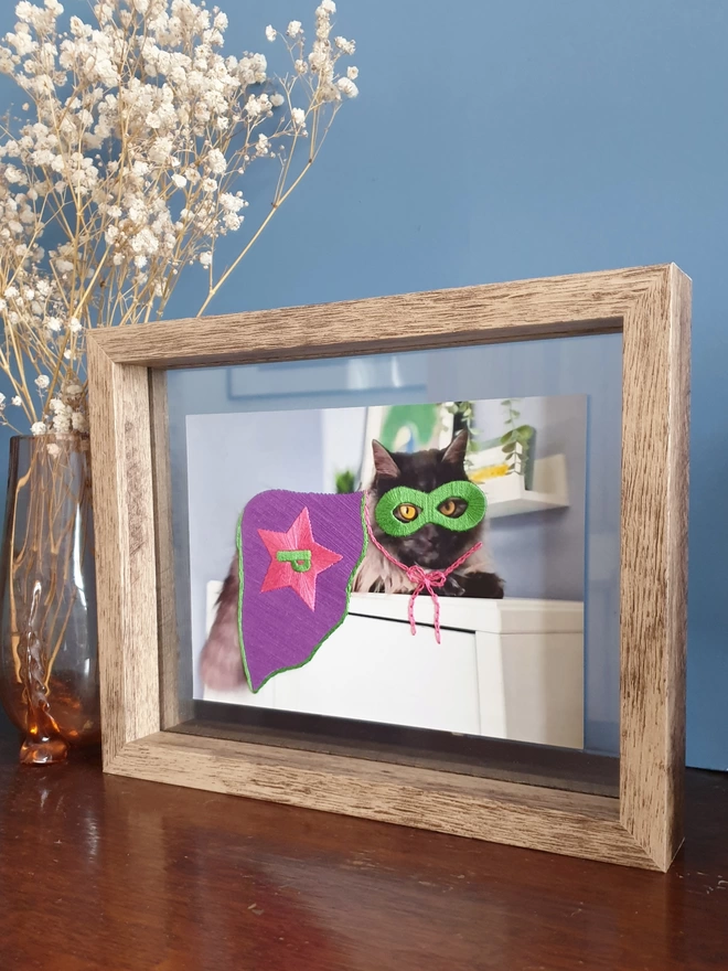 Pet photograph with hand embroidered mask, cape and initial held in double glass frame on desk