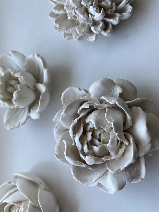 White Wedding Flowers