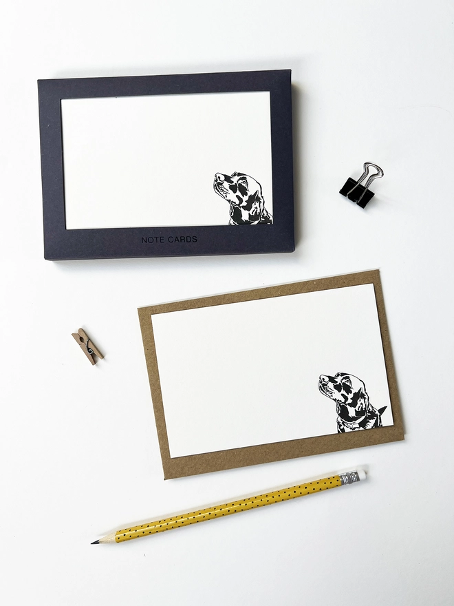 Boxed flat correspondence cards illustrated with a labrador