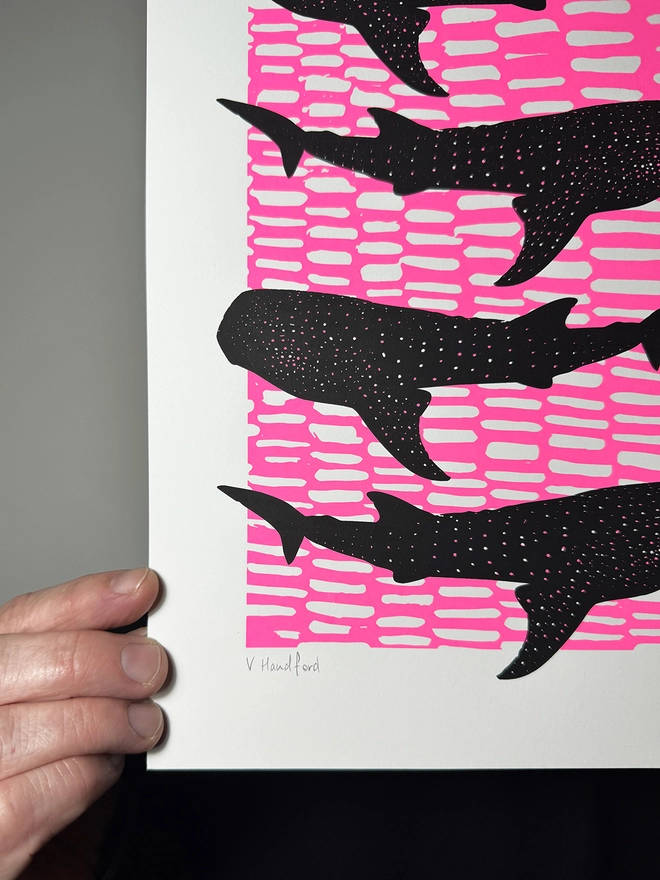 Whale Shark Shiver_A4 Screen Print_Holly and Co_Close up top_hand signed