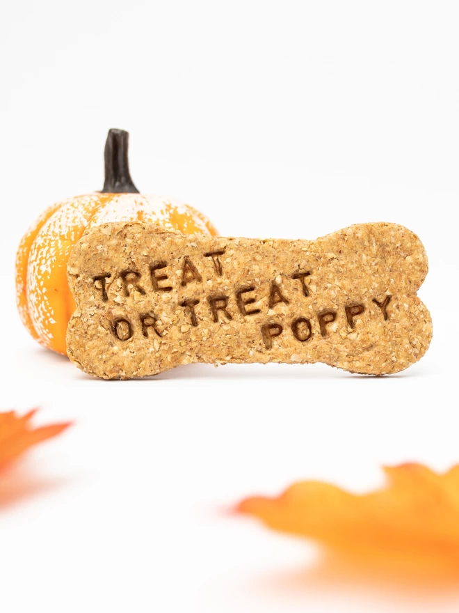 Coco Kennel Personalised Treat or Treat Halloween Dog Biscuits