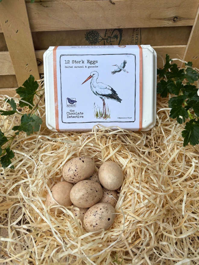 A box of The Chocolate Detective chocolate stork eggs next to a next of chocolate eggs.