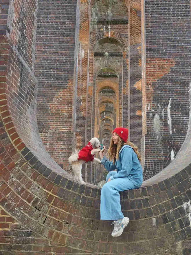 cherry red dog jumper and matching beanie