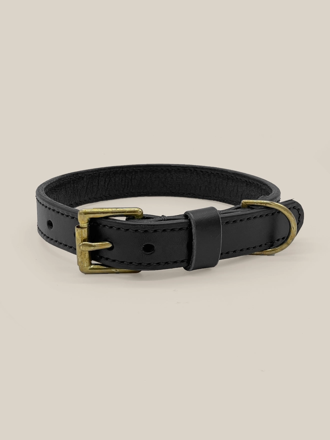black leather dog collar front view
