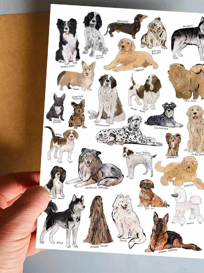Pets Temporary Tattoos, a hand holds a white sheet featuring illustrations of various cat breeds with handwritten labels.