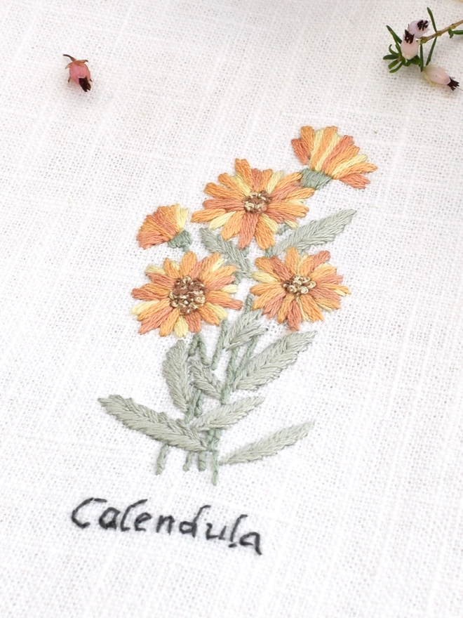 Floral Botanical embroidery kit of Calendula or Calendula Officinalis a symbol for October.  Meaning My thoughts are with you, Grace, Longevity, Affection and Health.