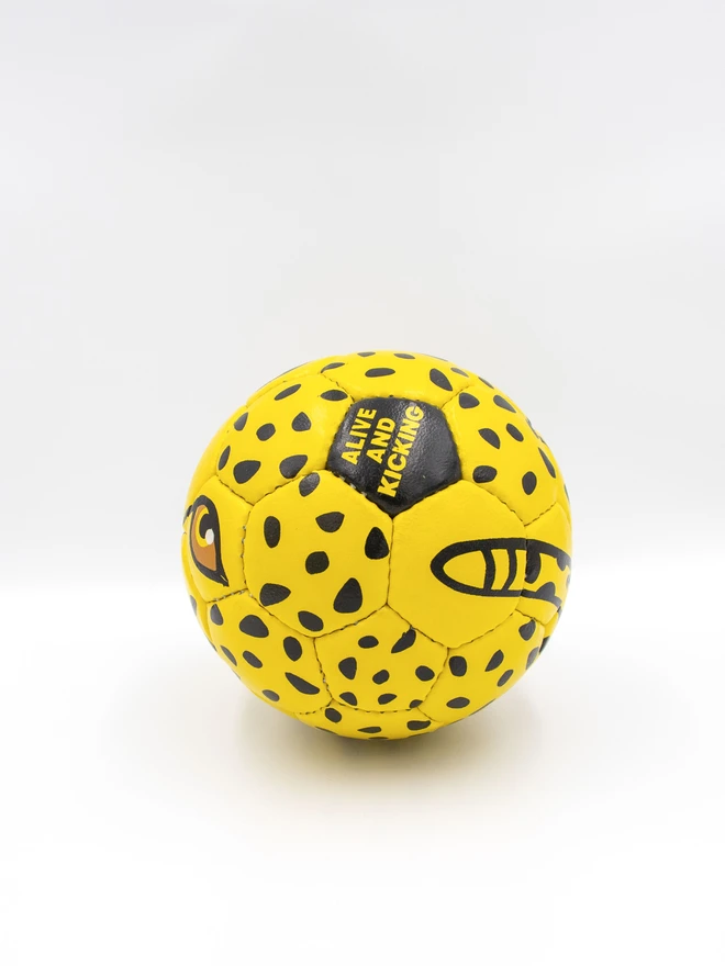 Cheetah Football