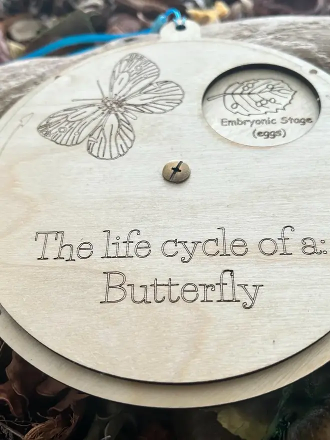 Wooden butterfly life cycle wheel with rotating panel, engraved illustrations, and viewing window showing the pupal stage (pupa), displayed on natural forest floor materials.