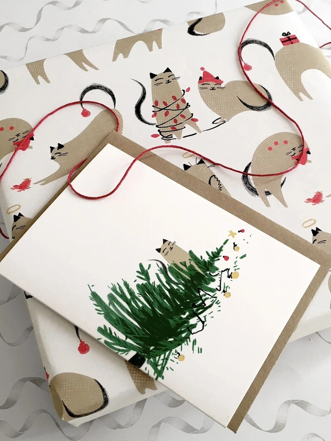 Naughty Cat Christmas Card And Gift Wrap Bundle