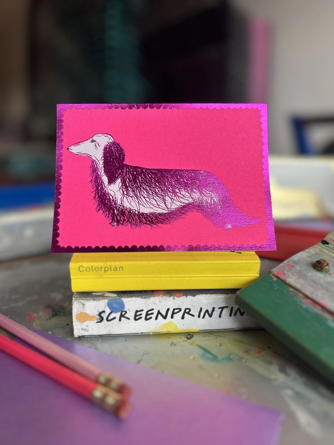 Neon Pink, Foiled Shiny Long Haired Dachshund, sausage Dog