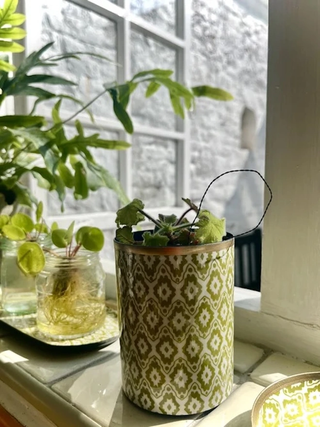 Perfect Enamel Pot. A green and white patterned pot with a gold rim holding a trailing houseplant on a sunny tiled windowsill. Nearby glass jars of rooting cuttings complete this fresh botanical home styling scene.