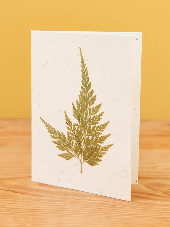 Fern plantable card