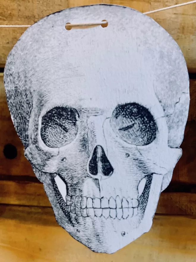 Close up of a vintage skull image cut from paper against a wood plank wall