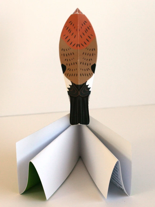 3d jay pop out card