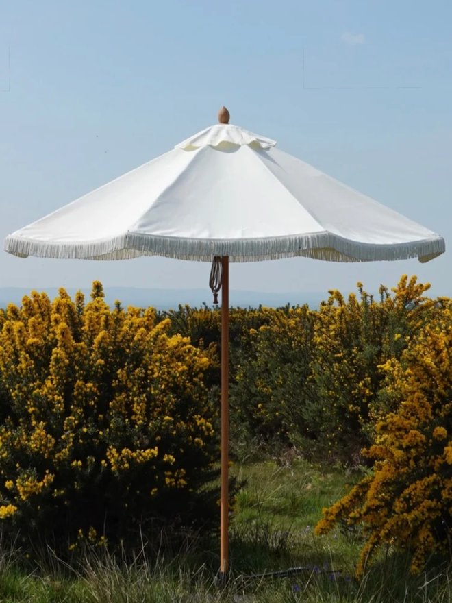 Double Cream Lampshade Parasol. A white parasol.