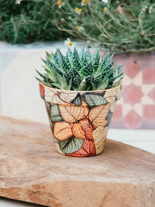 Autumn Design plant pot seen on a wooden board