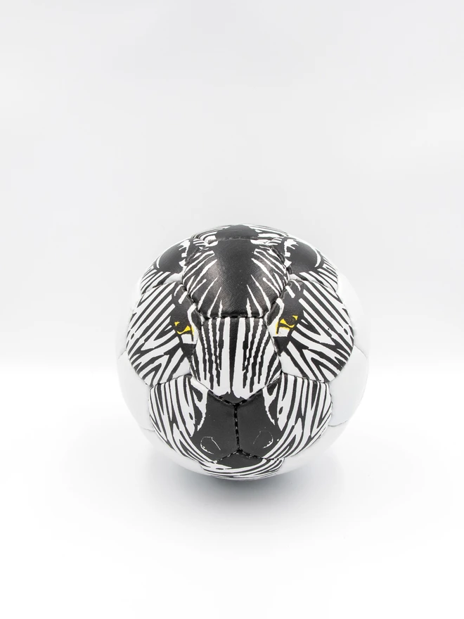 Zebra Football