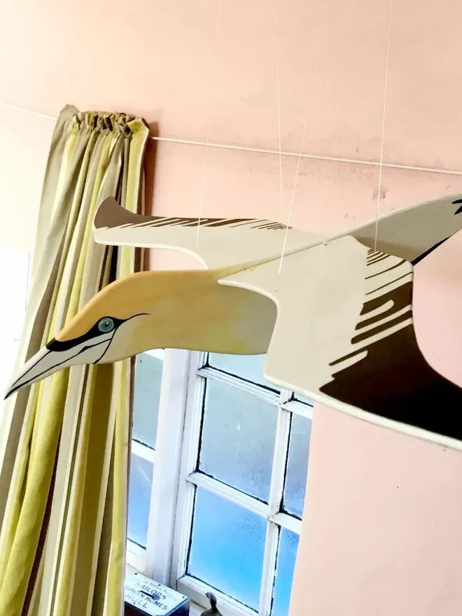 Gannet side view hanging in a pink room