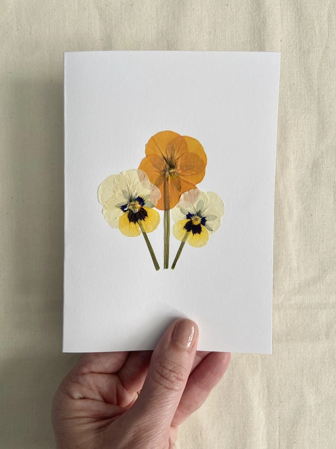 Hand holding a white greeting card with pressed pansy flowers