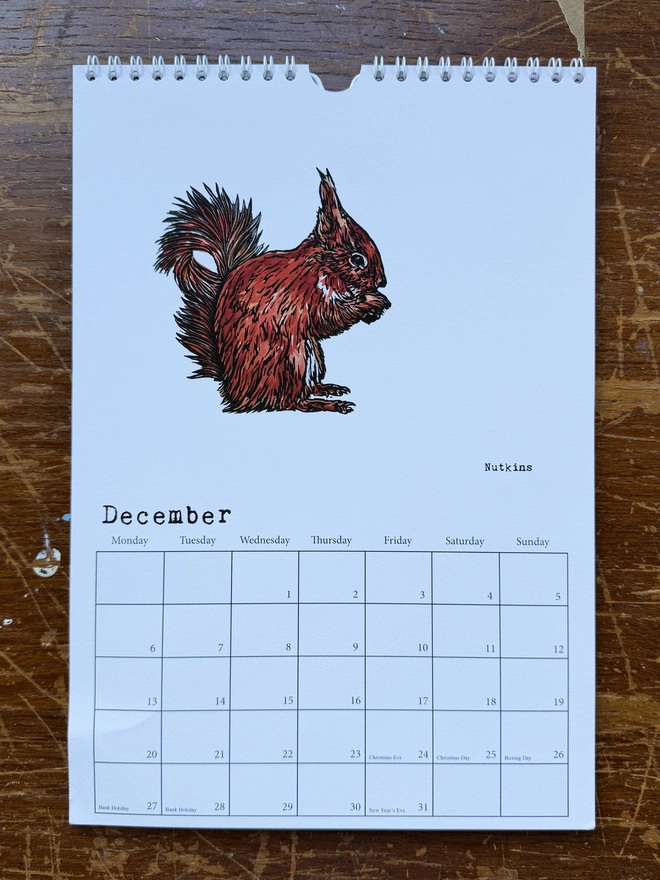 Nutkins Red Squirrel for December