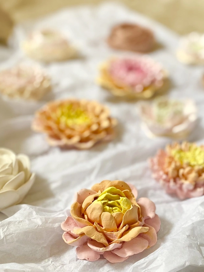 Colourful Concrete Flowers