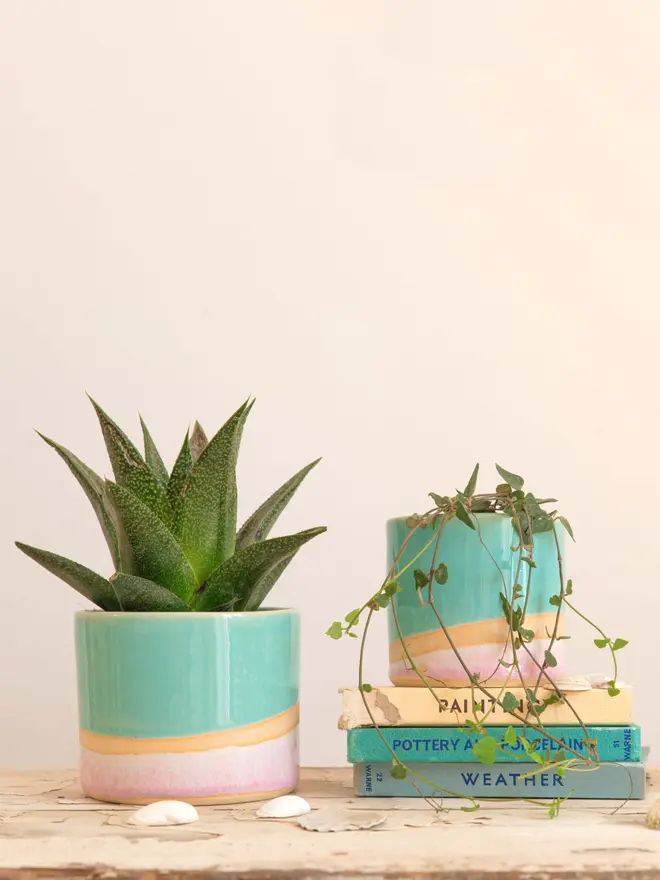 A large and medium shoreline plant pot in turquoise glaze and gradient pink glaze separated by raw stoneware clay. The large plant pot contains a dark spiky cactus and the smaller planter contains a string of hearts plant. The smaller plant pot sits on top of 3 books labelled Painting, Pottery and Porcelain, and Weather.