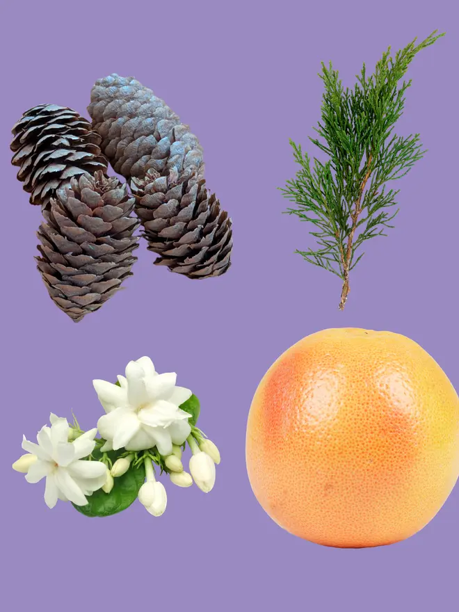 essential oil diffuser blend natural home fragrance
