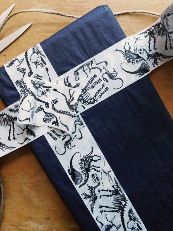 dinosaur print recyclable sticky tape