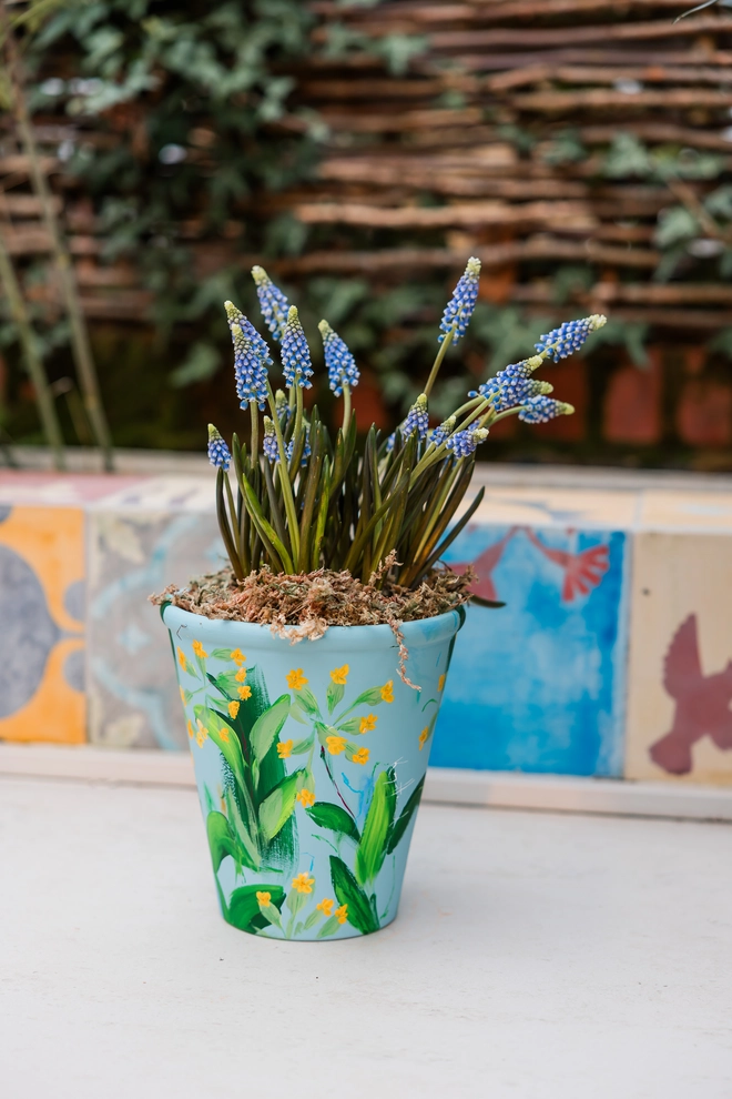 Hand painted floral terracotta plant pot pale blue background adorned in yellow British wild cowslip flowers