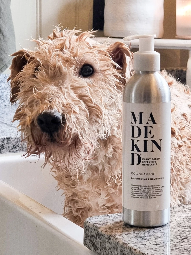 Dog in sink being washed with natural dog shampoo