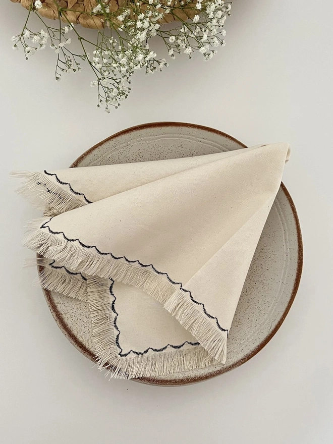 Fringed Cloth Napkins (Set Of 4)