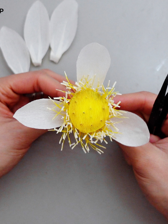 Crepe Paper White Sacred Lotus DIY Kit