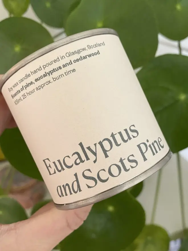 Eucalyptus And Scots Pine Candle, held in a hand, against a plant background.