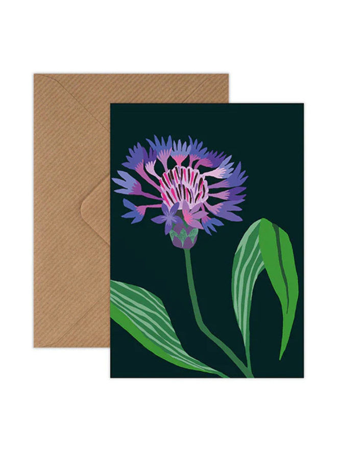 illustrated cornflower mini cards