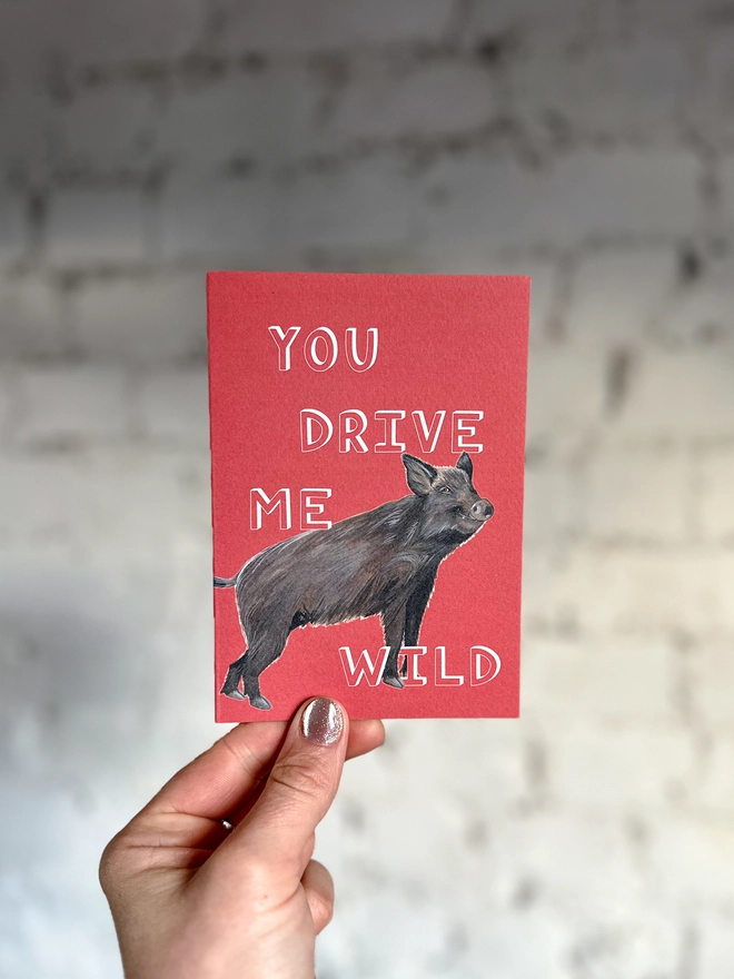 a red greetings card featuring an illustration of a wild boar with the text “you drive me wild”