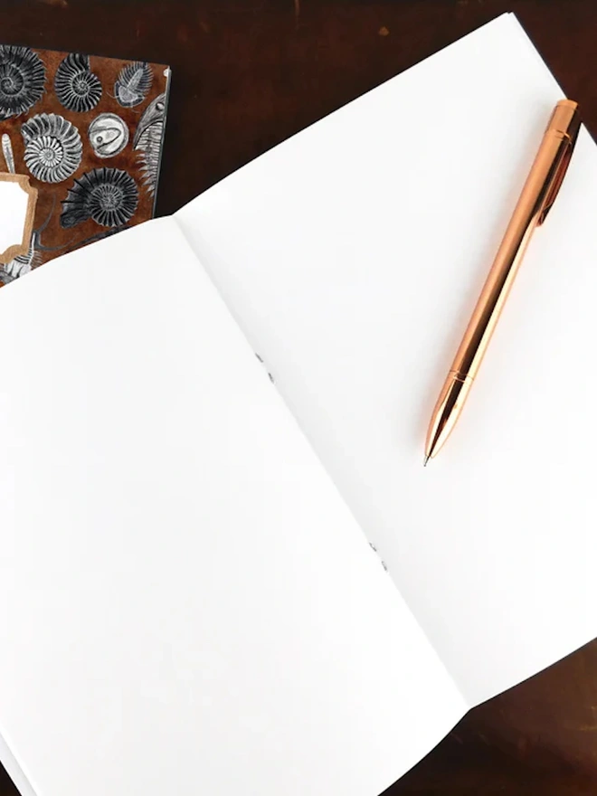Ammonoidea Fossil Print Notebook